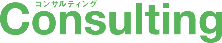 IT Consulting Service